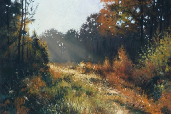Forêt de Moutiers