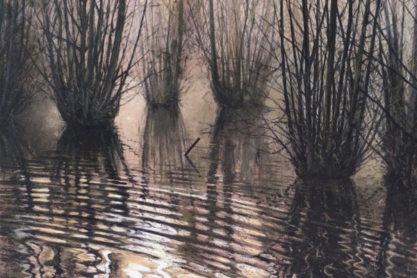 Fin de journée au marais