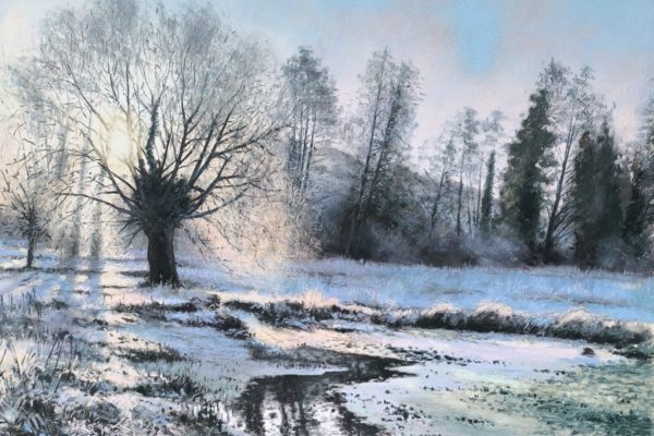 Le parc sous le givre