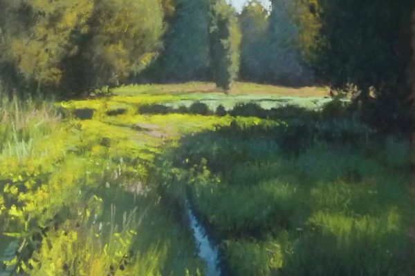 Le parc de Saint Evroult